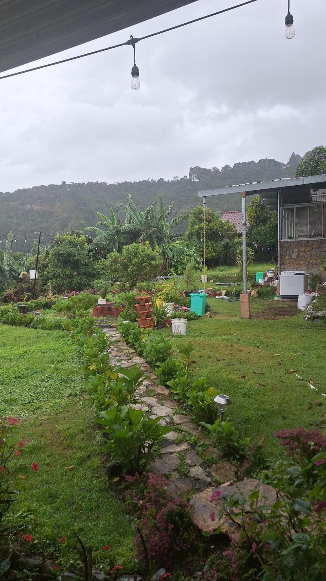 Hostal Vista Boquete Bajo Boquete Buitenkant foto