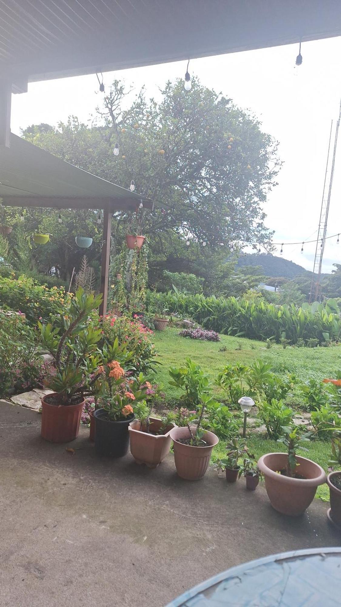 Hostal Vista Boquete Bajo Boquete Buitenkant foto