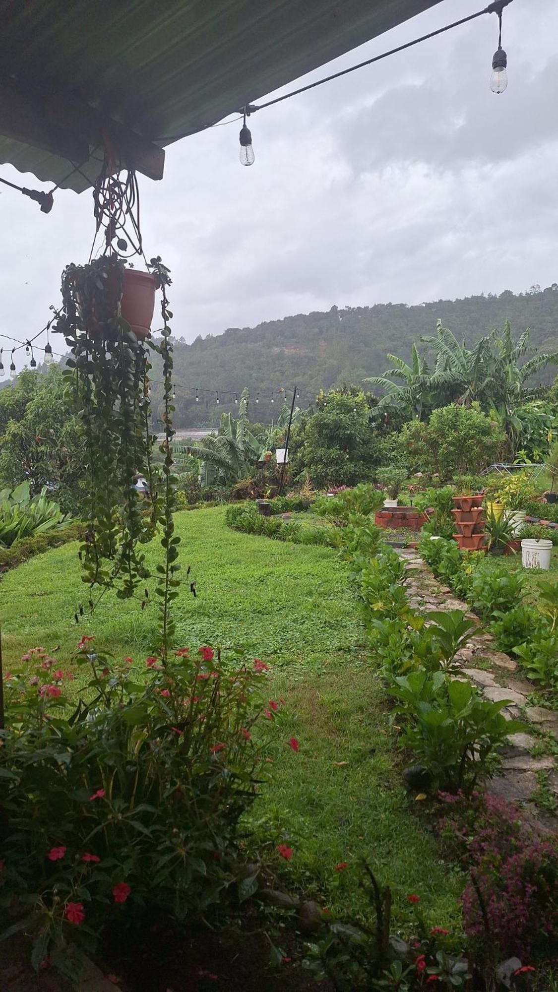 Hostal Vista Boquete Bajo Boquete Buitenkant foto