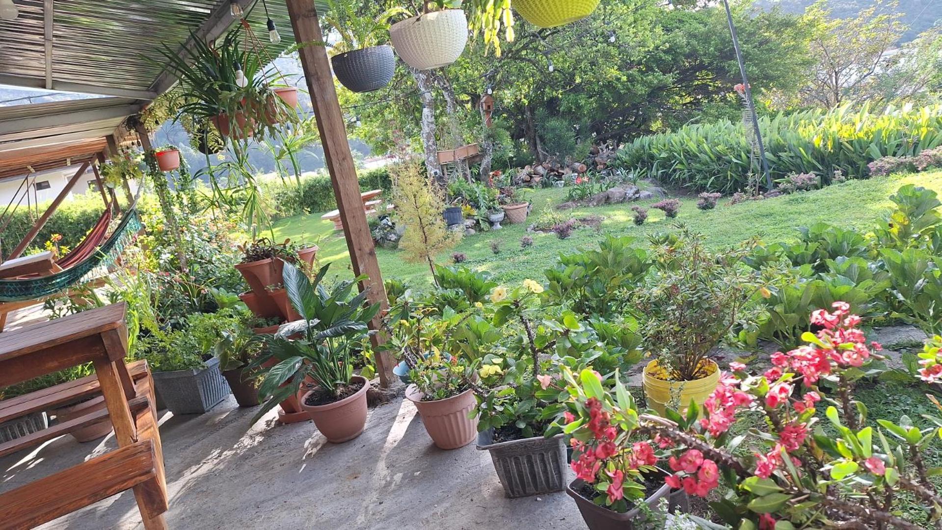Hostal Vista Boquete Bajo Boquete Buitenkant foto